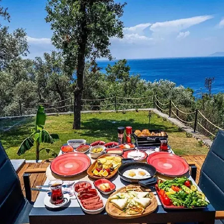 Villa Private Pool With Garden For 2 People In Faralya, - Awz 229 Fethiye